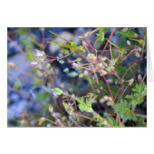 Weeds (Front Horizontal)