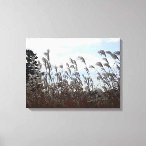 Weeds blowing in the Wind Photography  Canvas Print