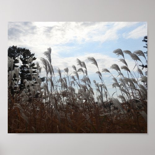 Weeds blowing in the Wind Photography  Poster