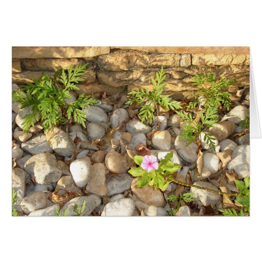 Weeds Cards (Front Horizontal)