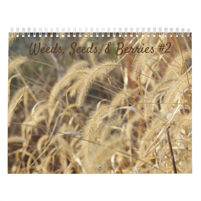 Weeds, Seeds, & Berries #2 Calendar (Cover)