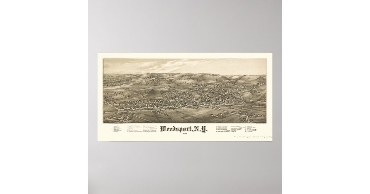Weedsport, NY Panoramic Map 1885 Poster Zazzle