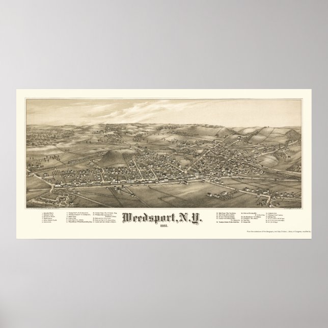 Weedsport, NY Panoramic Map - 1885 Poster (Front)