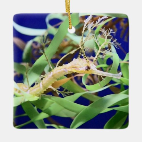 Weedy Sea Dragon Ceramic Ornament