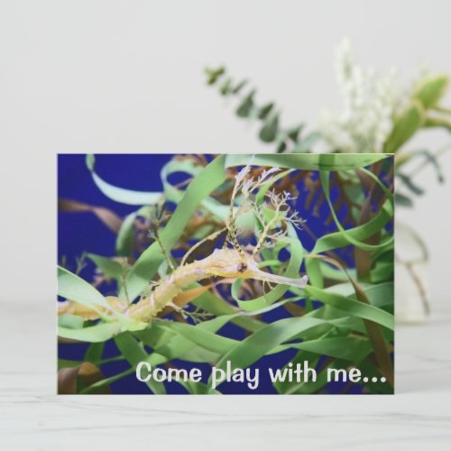 Weedy Sea Dragon Invitation