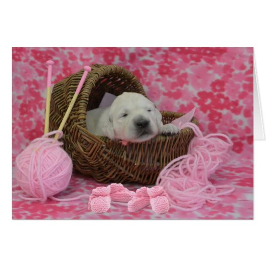 week 2 Goldie (Front Horizontal)