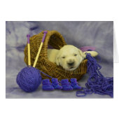 week 2 Mike (Front Horizontal)