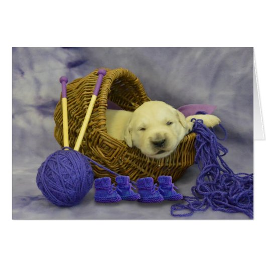 week 2 Mike (Front Horizontal)