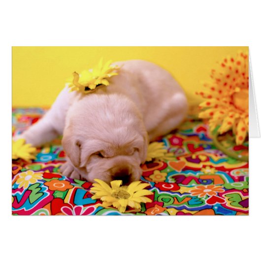 Week 2, Misty's Ms. Yellow (Front Horizontal)