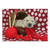 week 2 Murphy (Front Horizontal)