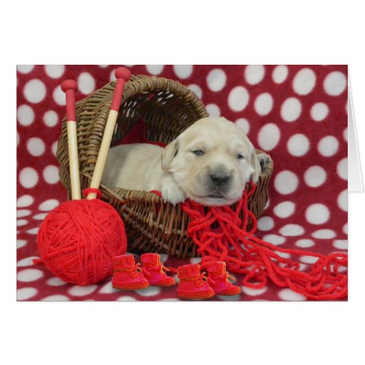 week 2 Murphy (Front Horizontal)