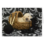 week 2 Paul (Front Horizontal)