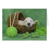 week 3 Lily (Front Horizontal)