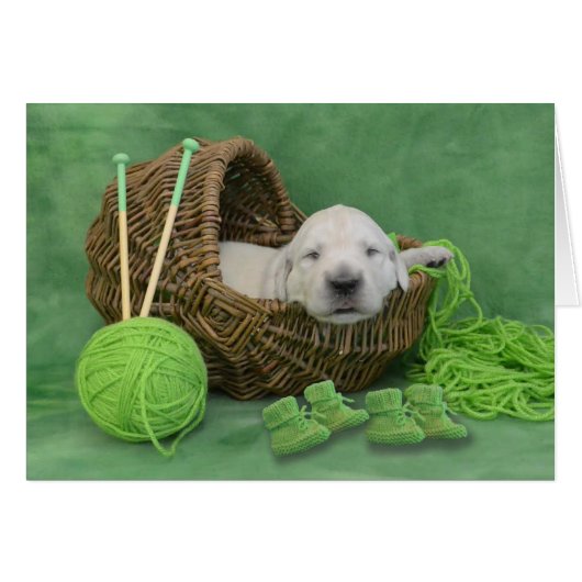 week 3 Lily (Front Horizontal)