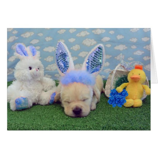 week 4 Donnie (Front Horizontal)