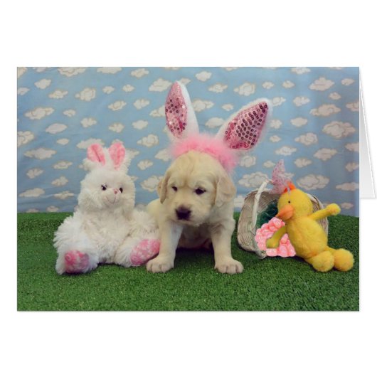 week 4 Goldie (Front Horizontal)