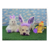 week 4 Mike (Front Horizontal)