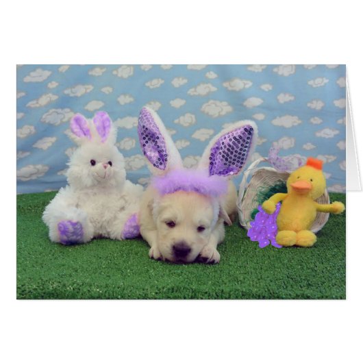 week 4 Mike (Front Horizontal)