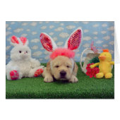 week 4 Murphy (Front Horizontal)