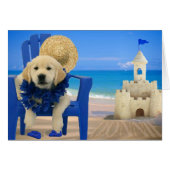 Week 8 - Beach Donnie (Front Horizontal)