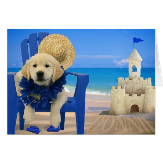 Week 8 - Beach Donnie Cards (Front Horizontal)