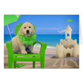 Week 8 - Beach Lily (Front Horizontal)