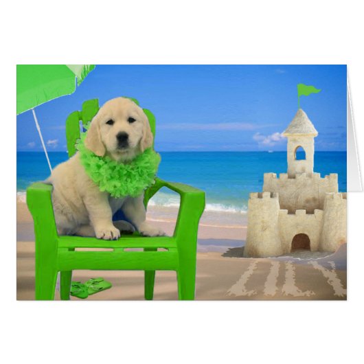 Week 8 - Beach Lily Cards (Front Horizontal)