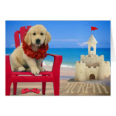 Week 8 - Beach Murphy (Front Horizontal)