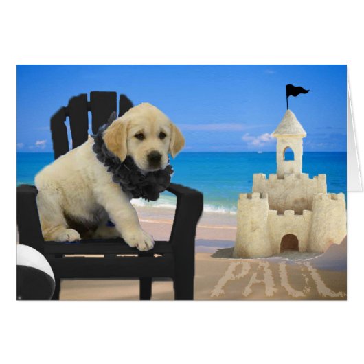 Week 8 - Beach Paul (Front Horizontal)