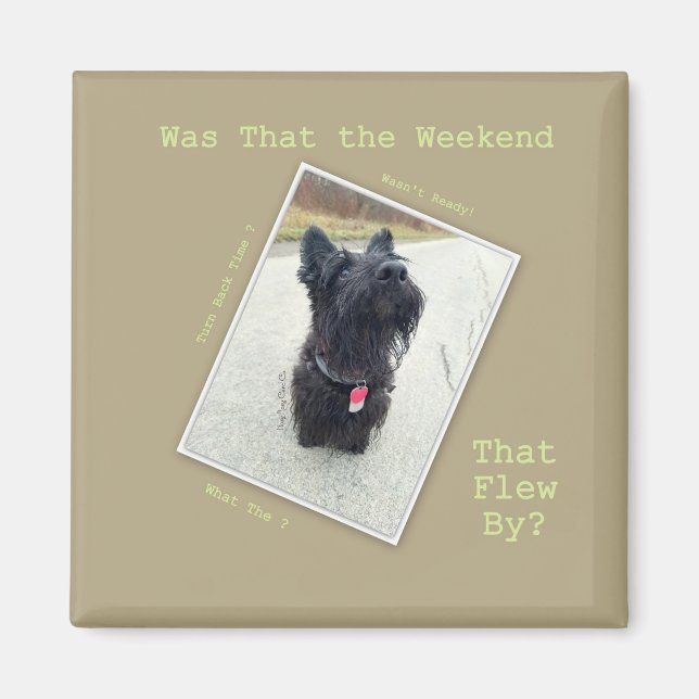 Weekend ... What Weekend? Magnet (Front)