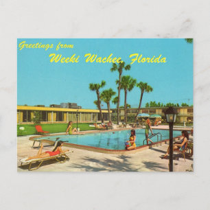 Weeki Wachee Florida vintage postcard