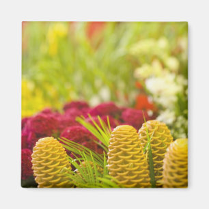 Weekly Friday fruit & vegetable market. Magnet
