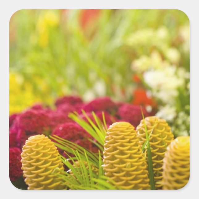 Weekly Friday fruit & vegetable market. Square Sticker (Front)