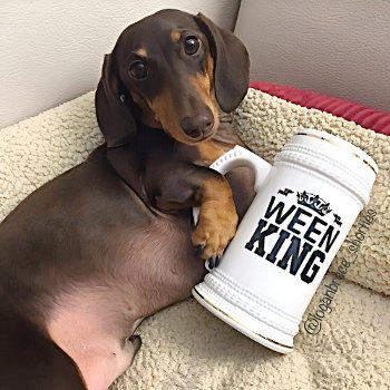 Ween King Dachshund Dad Stein Mug Father's Day by Smoothe1 at Zazzle