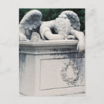 Weeping Angel Postcard at Zazzle