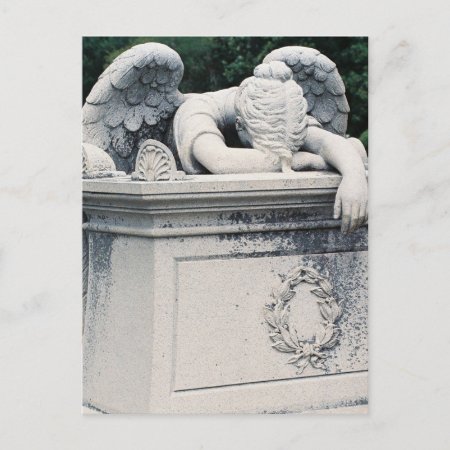 Weeping Angel Postcard