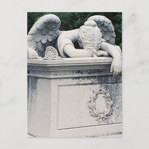 Weeping Angel Postcard