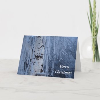 Weeping Birch Christmas Card by ChristyWyoming at Zazzle