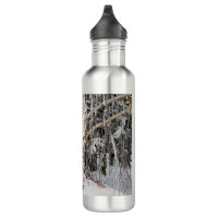 https://rlv.zcache.com/weeping_birch_eye_of_horus_stainless_steel_water_bottle-r8b3c44c9772a47f1bf947fdb1c532e31_zl58x_200.jpg?rlvnet=1