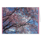 Weeping Cherry Against a Blue Sky (Front Horizontal)
