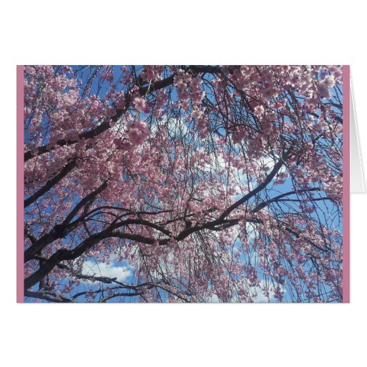 Weeping Cherry Against a Blue Sky Cards (Front Horizontal)