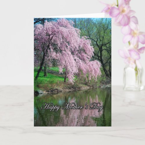 Weeping Cherry Tree Mothers Day Card