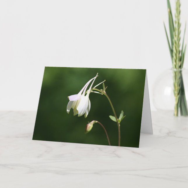 Weeping Columbine Sympathy Card (Front)
