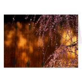 Weeping Pink Plum Blossom (Front Horizontal)