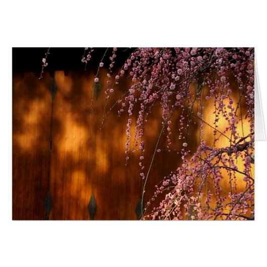 Weeping Pink Plum Blossom Cards (Front Horizontal)