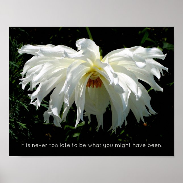 Weeping White Dahlia, inspirational quote Poster (Front)