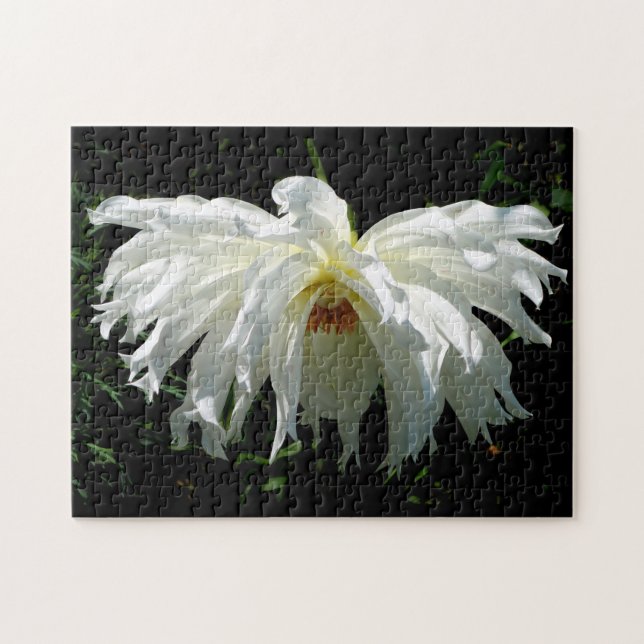 Weeping White Dahlia Jigsaw Puzzle (Horizontal)
