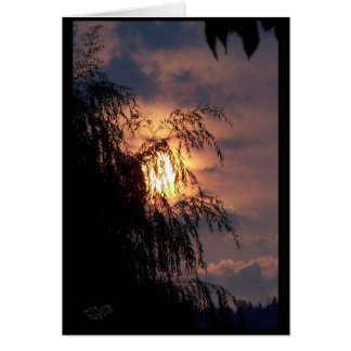 Weeping Willow at Sunrise Card