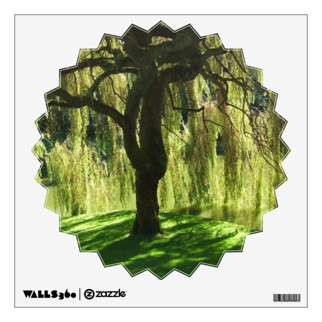 Weeping Willow Bloedel Reserve Bainbridge Island Wall Decal (Front)