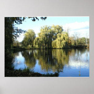 Weeping willow by the lake poster